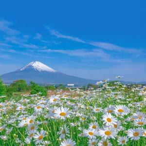 妻子群交双渗透
